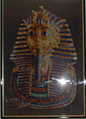 wpe45A.jpg (20446 octets)